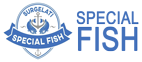 Special Fish Logo
